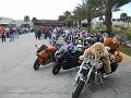 Toy_Run_2011 006